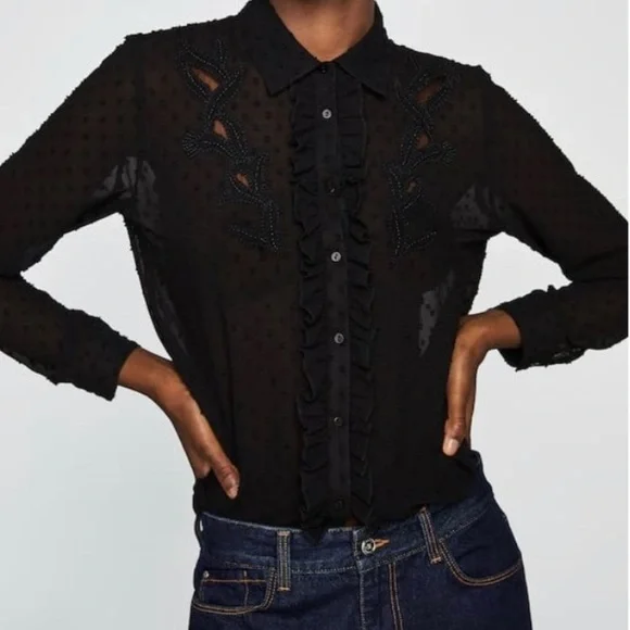 Zara | Tops | Nwt Zara Floral Embroidered Plumetis Dot Blouse Medium M |  Poshmark